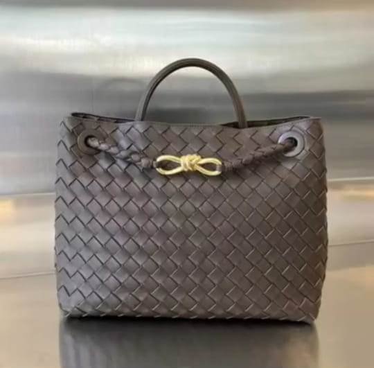 The Andiamo bag from Bottega Veneta features its famous "Intrecciato" braided leather.